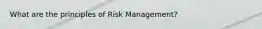 What are the principles of Risk Management?