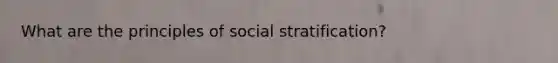 What are the principles of social stratification?