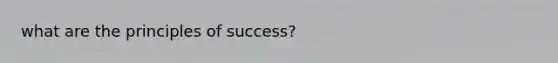 what are the principles of success?