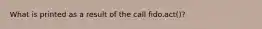 What is printed as a result of the call fido.act()?