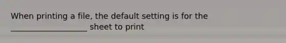 When printing a file, the default setting is for the ___________________ sheet to print