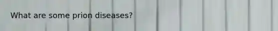 What are some prion diseases?