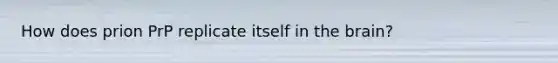 How does prion PrP replicate itself in the brain?