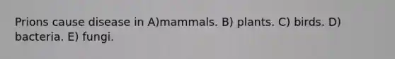 Prions cause disease in A)mammals. B) plants. C) birds. D) bacteria. E) fungi.