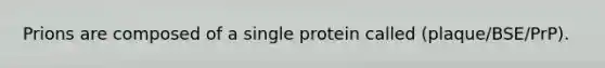 Prions are composed of a single protein called (plaque/BSE/PrP).