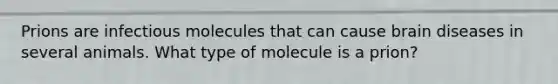 Prions are infectious molecules that can cause brain diseases in several animals. What type of molecule is a prion?