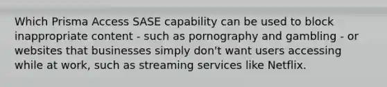 Which Prisma Access SASE capability can be used to block inappropriate content - such as pornography and gambling - or websites that businesses simply don't want users accessing while at work, such as streaming services like Netflix.