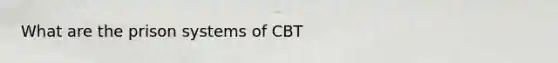 What are the prison systems of CBT