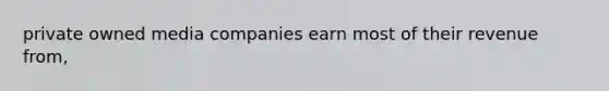 private owned media companies earn most of their revenue from,