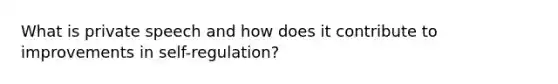 What is private speech and how does it contribute to improvements in self-regulation?