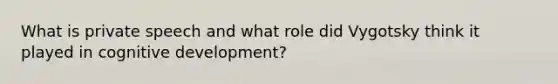 What is private speech and what role did Vygotsky think it played in cognitive development?