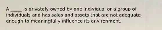 ​A _____ is privately owned by one individual or a group of individuals and has sales and assets that are not adequate enough to meaningfully influence its environment.