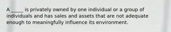 A _____ is privately owned by one individual or a group of individuals and has sales and assets that are not adequate enough to meaningfully influence its environment.