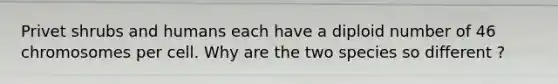 Privet shrubs and humans each have a diploid number of 46 chromosomes per cell. Why are the two species so different ?