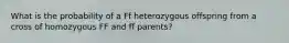 What is the probability of a Ff heterozygous offspring from a cross of homozygous FF and ff parents?