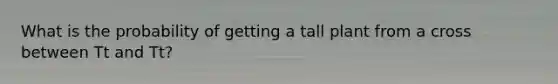 What is the probability of getting a tall plant from a cross between Tt and Tt?