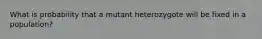 What is probability that a mutant heterozygote will be fixed in a population?