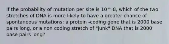 If the probability of mutation per site is 10^-8, which of the two stretches of DNA is more likely to have a greater chance of spontaneous mutations: a protein -coding gene that is 2000 base pairs long, or a non coding stretch of "junk" DNA that is 2000 base pairs long?