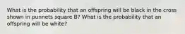 What is the probability that an offspring will be black in the cross shown in punnets square B? What is the probability that an offspring will be white?