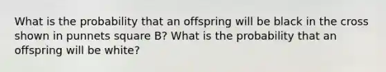 What is the probability that an offspring will be black in the cross shown in punnets square B? What is the probability that an offspring will be white?