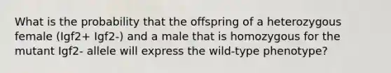 What is the probability that the offspring of a heterozygous female (Igf2+ Igf2-) and a male that is homozygous for the mutant Igf2- allele will express the wild-type phenotype?