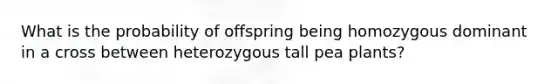 What is the probability of offspring being homozygous dominant in a cross between heterozygous tall pea plants?