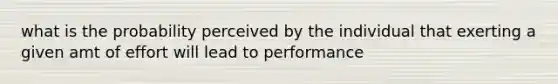 what is the probability perceived by the individual that exerting a given amt of effort will lead to performance