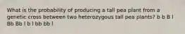 What is the probability of producing a tall pea plant from a genetic cross between two heterozygous tall pea plants? b b B l Bb Bb l b l bb bb l