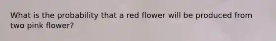 What is the probability that a red flower will be produced from two pink flower?