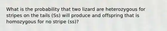 What is the probability that two lizard are heterozygous for stripes on the tails (Ss) will produce and offspring that is homozygous for no stripe (ss)?