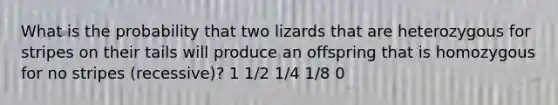 What is the probability that two lizards that are heterozygous for stripes on their tails will produce an offspring that is homozygous for no stripes (recessive)? 1 1/2 1/4 1/8 0