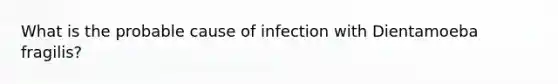 What is the probable cause of infection with Dientamoeba fragilis?