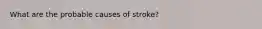 What are the probable causes of stroke?