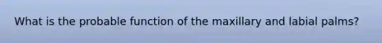 What is the probable function of the maxillary and labial palms?