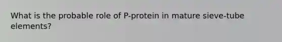 What is the probable role of P-protein in mature sieve-tube elements?