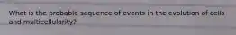 What is the probable sequence of events in the evolution of cells and multicellularity?