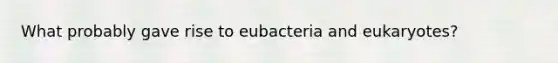 What probably gave rise to eubacteria and eukaryotes?