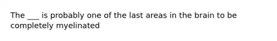 The ___ is probably one of the last areas in <a href='https://www.questionai.com/knowledge/kLMtJeqKp6-the-brain' class='anchor-knowledge'>the brain</a> to be completely myelinated