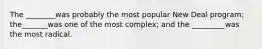 The ________was probably the most popular New Deal program; the_______was one of the most complex; and the _________was the most radical.