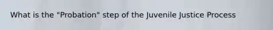 What is the "Probation" step of the Juvenile Justice Process