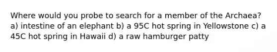 Where would you probe to search for a member of the Archaea? a) intestine of an elephant b) a 95C hot spring in Yellowstone c) a 45C hot spring in Hawaii d) a raw hamburger patty