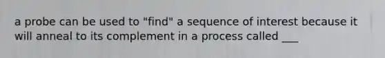 a probe can be used to "find" a sequence of interest because it will anneal to its complement in a process called ___