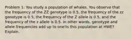 Problem 1: You study a population of whales. You observe that the frequency of the ZZ genotype is 0.5, the frequency of the zz genotype is 0.5, the frequency of the Z allele is 0.5, and the frequency of the z allele is 0.5. In other words, genotype and allele frequencies add up to one!Is this population at HWE? Explain.