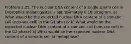 Problem 2.25: The nuclear DNA content of a single sperm cell in Drosophila melanogaster is approximately 0.18 picogram. a) What would be the expected nuclear DNA content of a somatic cell (non-sex cell) in the G1 phase? b) What would be the expected nuclear DNA content of a somatic cell (non-sex cell) in the G2 phase? c) What would be the expected nuclear DNA content of a somatic cell at metaphase?