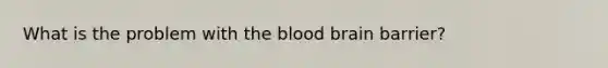 What is the problem with the blood brain barrier?