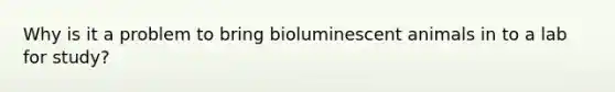 Why is it a problem to bring bioluminescent animals in to a lab for study?