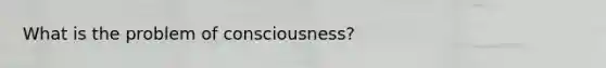 What is the problem of consciousness?