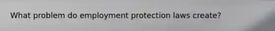 What problem do employment protection laws create?
