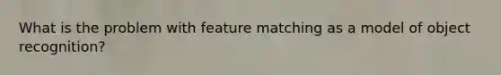 What is the problem with feature matching as a model of object recognition?