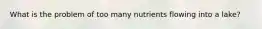 What is the problem of too many nutrients flowing into a lake?